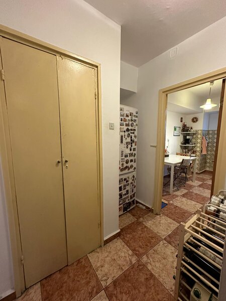 Nicolae Titulescu, Banu Manta,