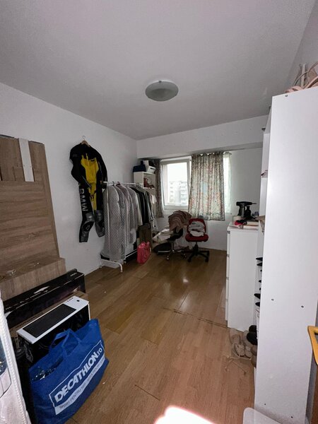 Nicolae Titulescu, Banu Manta,