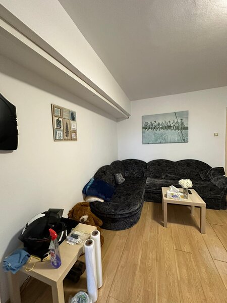 Nicolae Titulescu, Banu Manta,