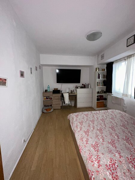 Nicolae Titulescu, Banu Manta,