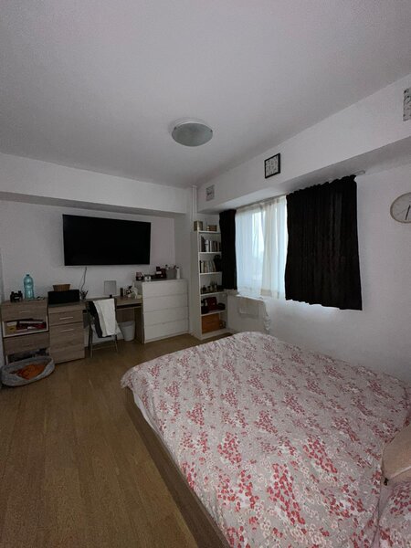 Nicolae Titulescu, Banu Manta,