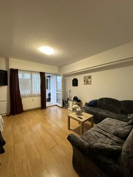 Nicolae Titulescu, Banu Manta,