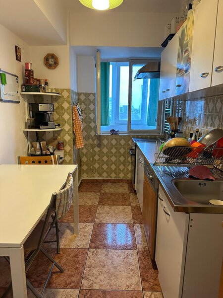 Nicolae Titulescu, Banu Manta,