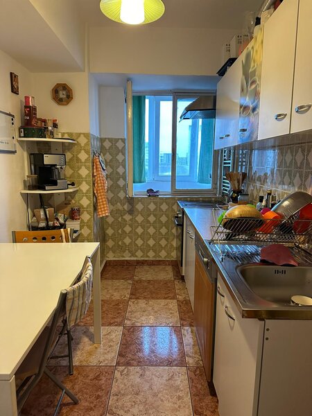 Nicolae Titulescu, Banu Manta,